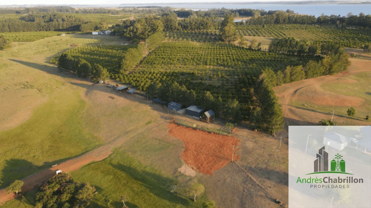 Terreno en venta de 10has ubicado en Villa del Rosario - foto 5