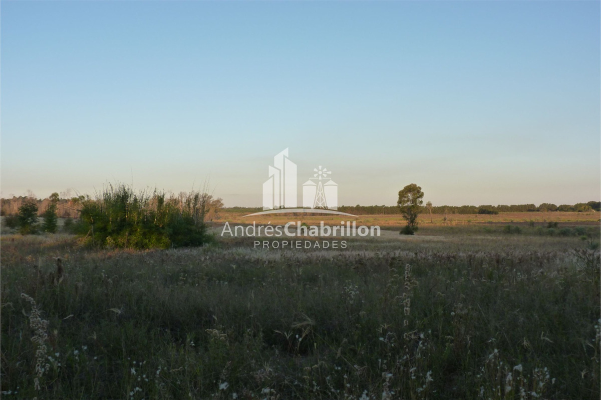 Campo De 50 Ha. En Zona De Osvaldo Magnasco