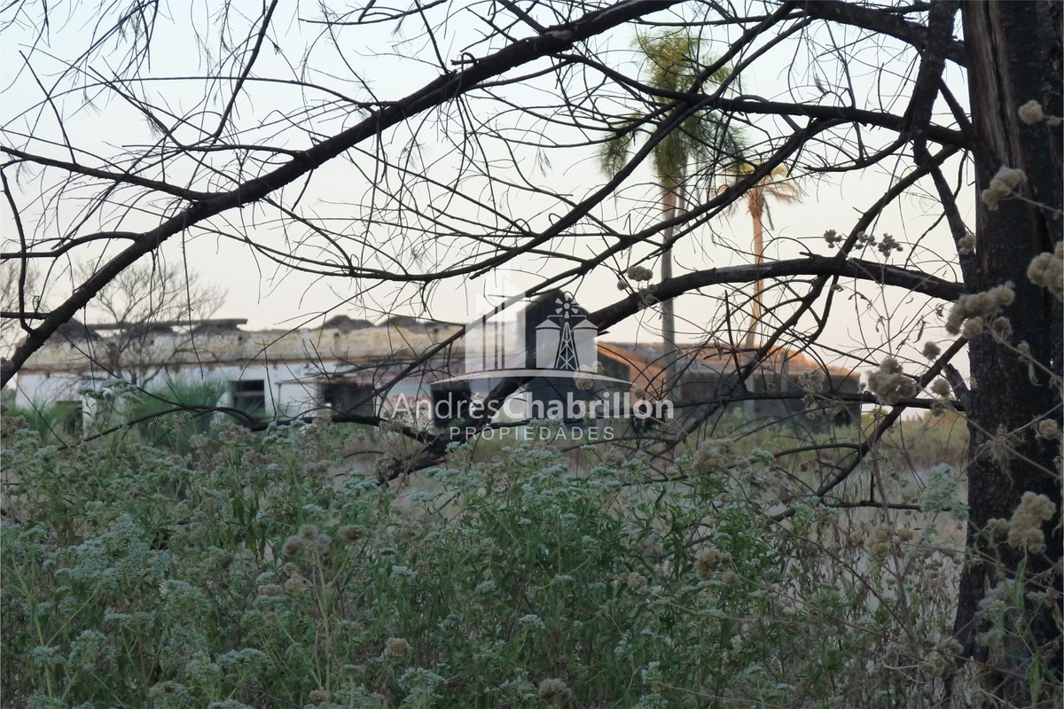 Campo De 50 Ha. En Zona De Osvaldo Magnasco - foto 2