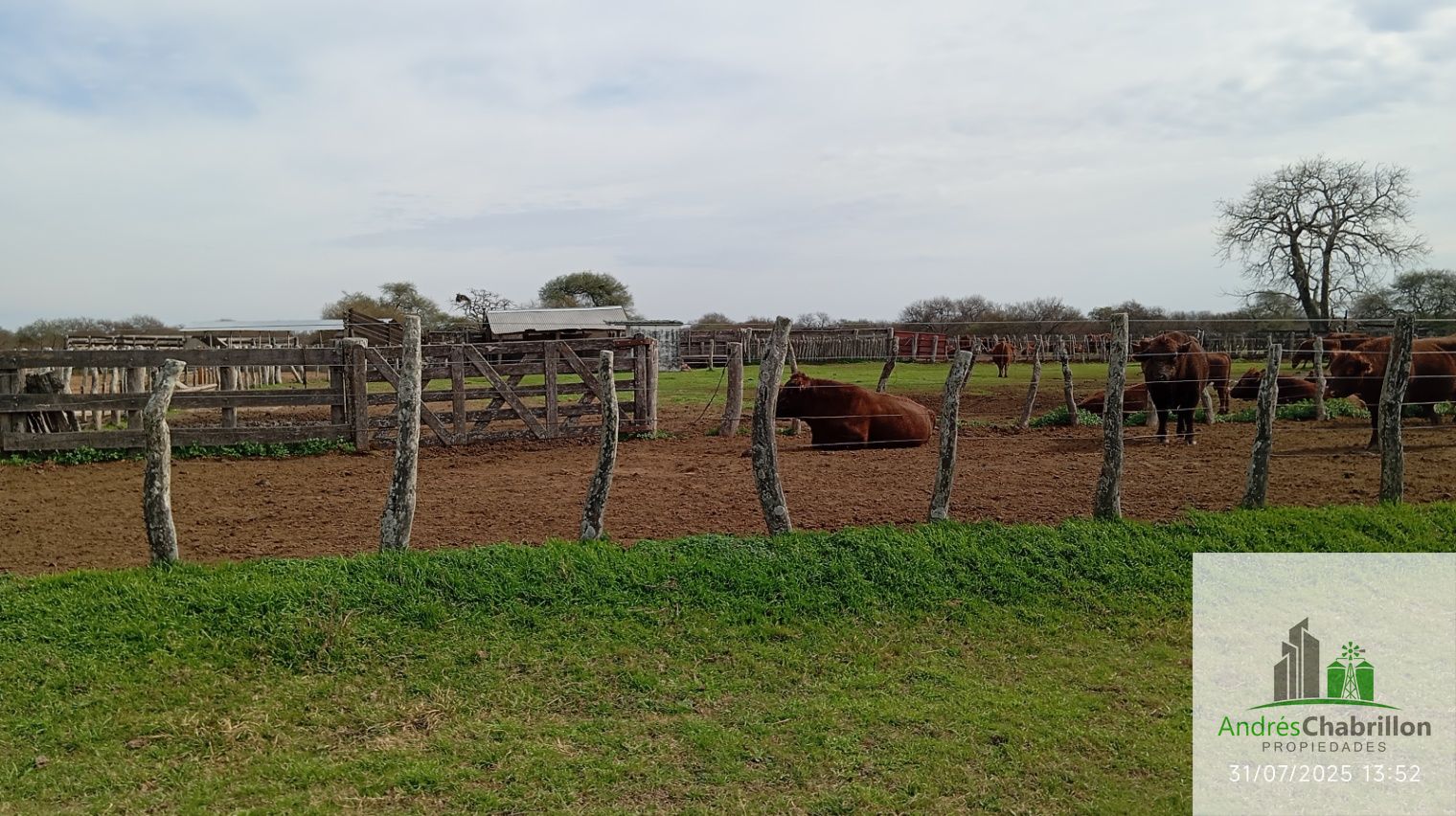 Campo en alquiler de 1400has ubicado en Federal Entre Ríos