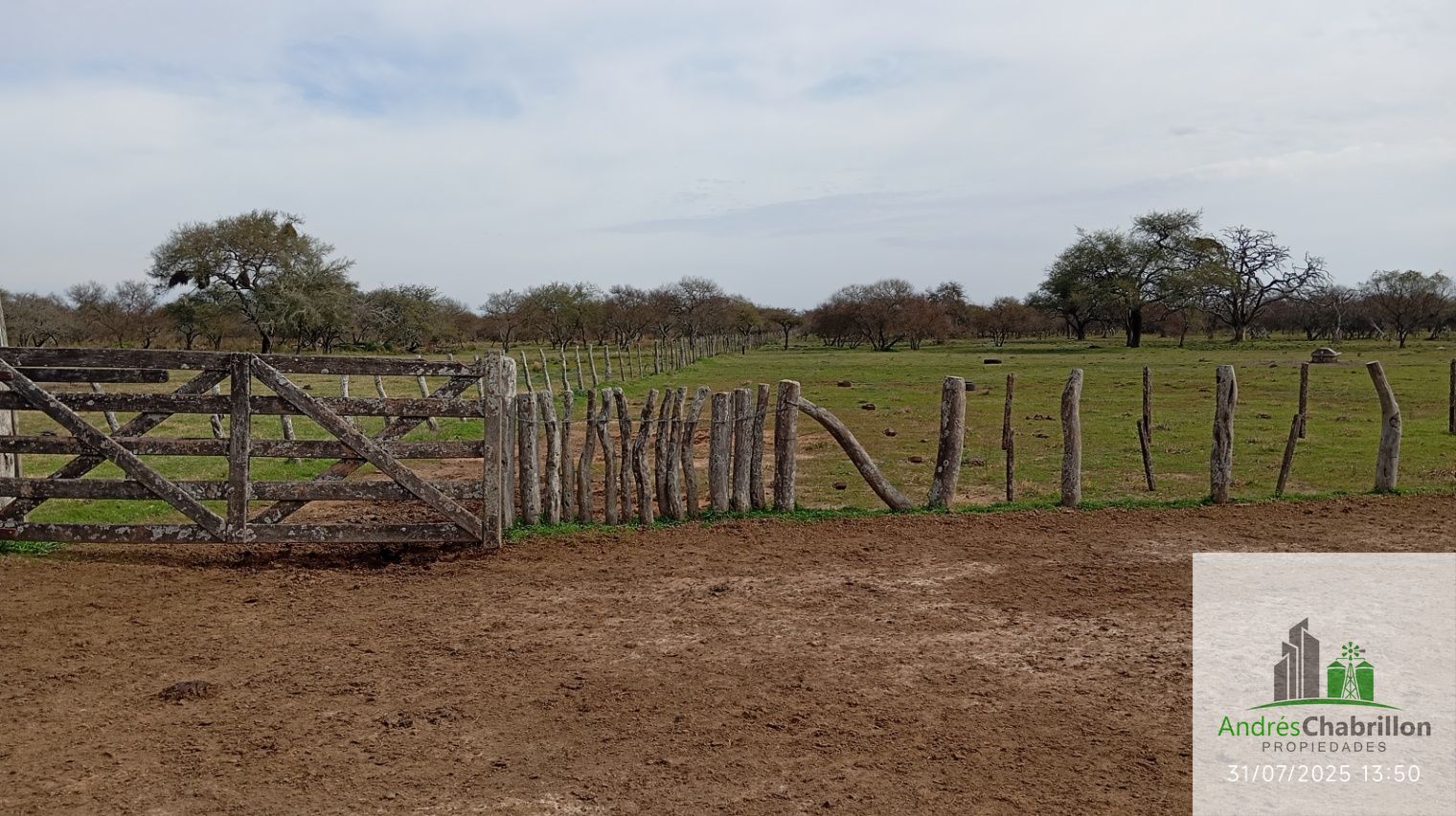 Campo en alquiler de 1400has ubicado en Federal Entre Ríos - foto 4