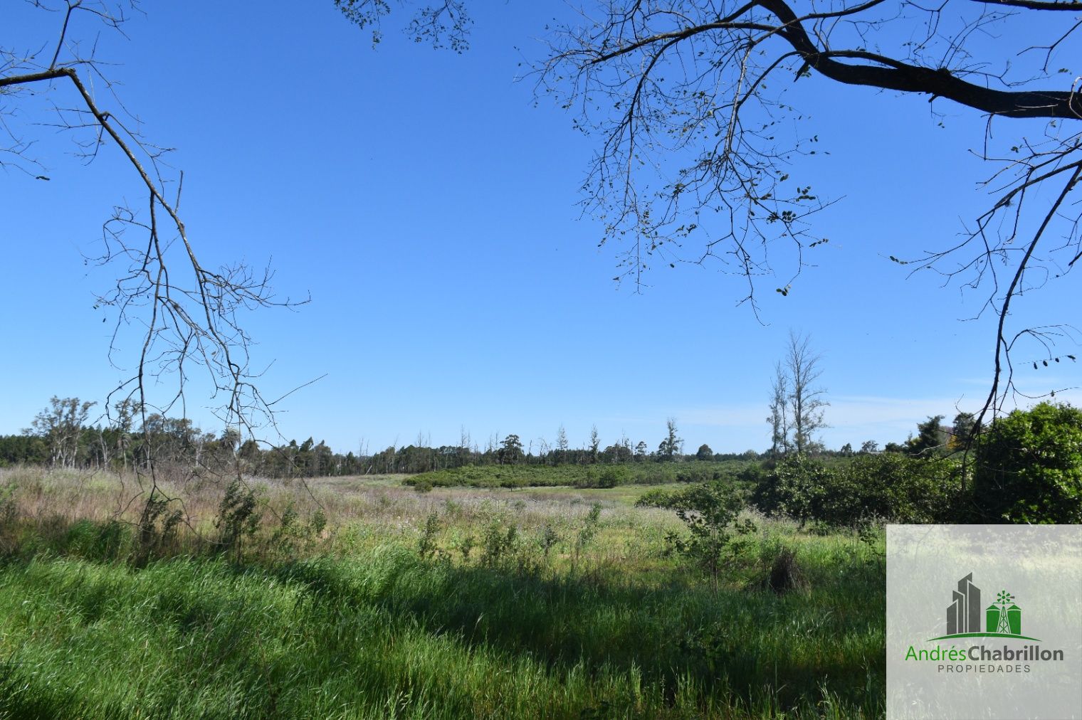 Terreno en venta de 34.400m2 zona Aeroclub Concordia