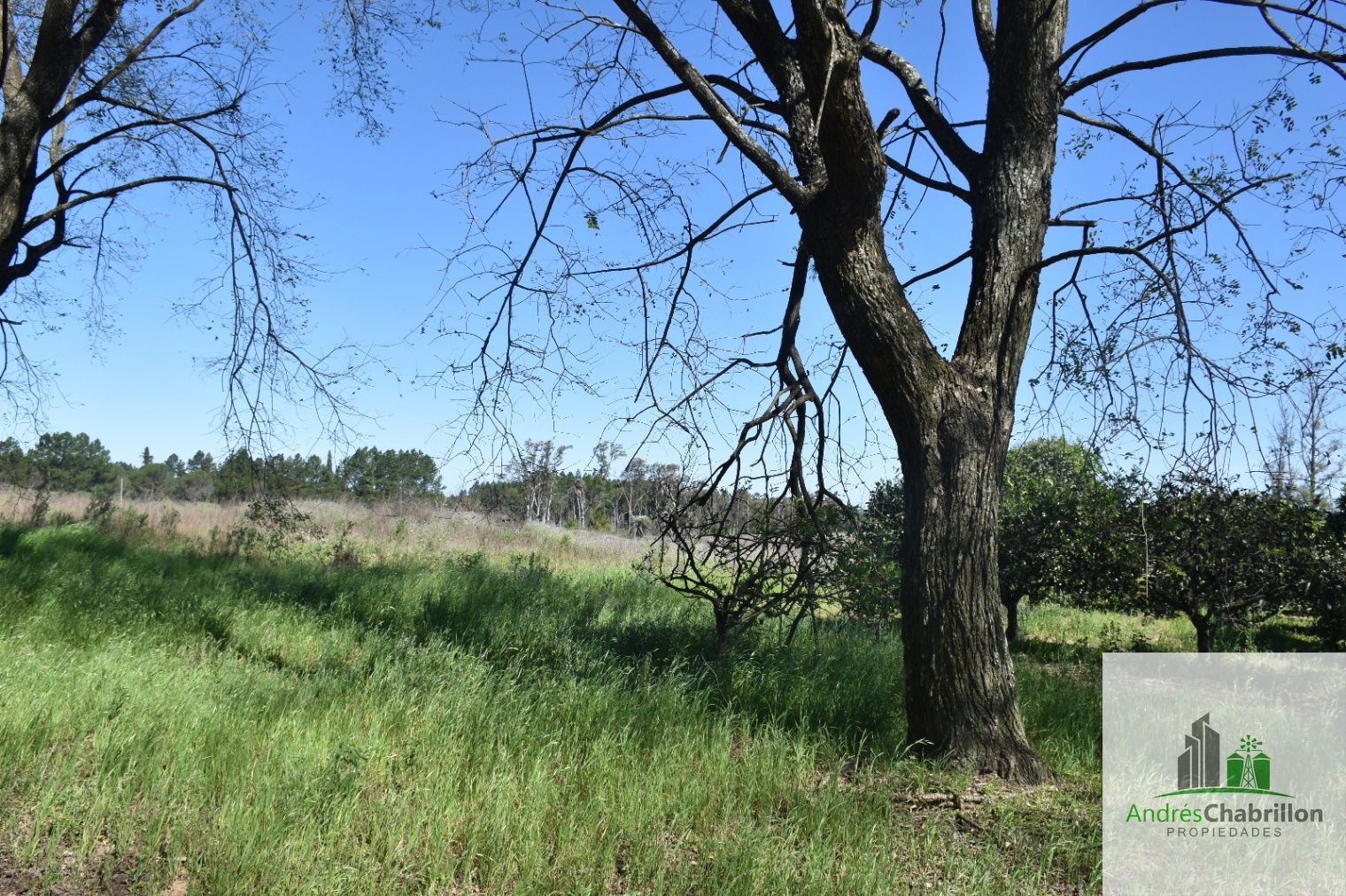Terreno en venta de 34.400m2 zona Aeroclub Concordia - foto 3