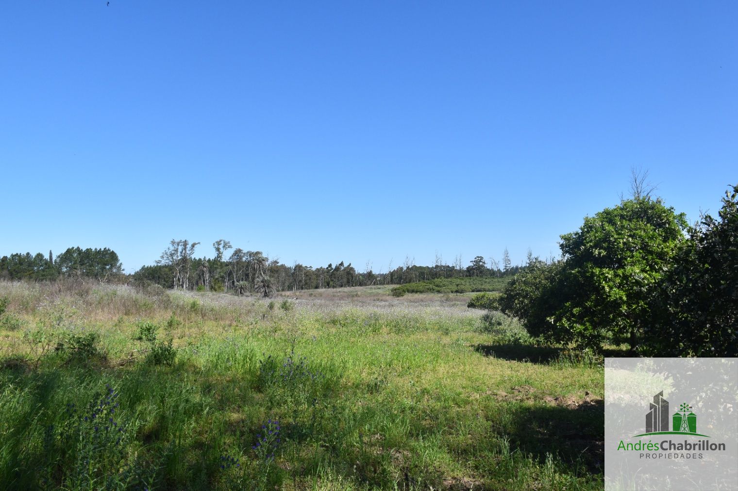 Terreno en venta de 34.400m2 zona Aeroclub Concordia - foto 5