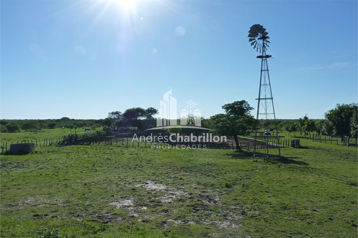 Excelente Campo Ganadero, Camino Rural A 30 Km. De Federal