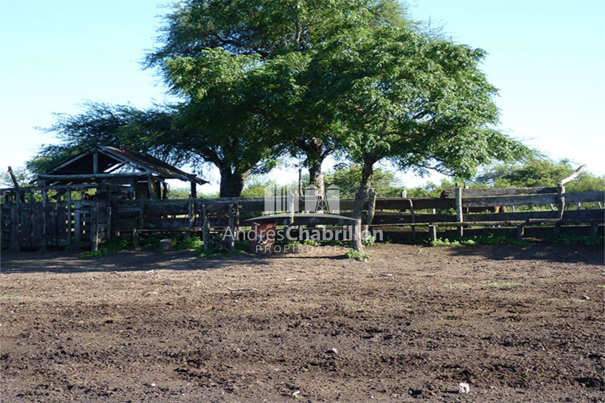 Excelente Campo Ganadero, Camino Rural A 30 Km. De Federal - foto 4