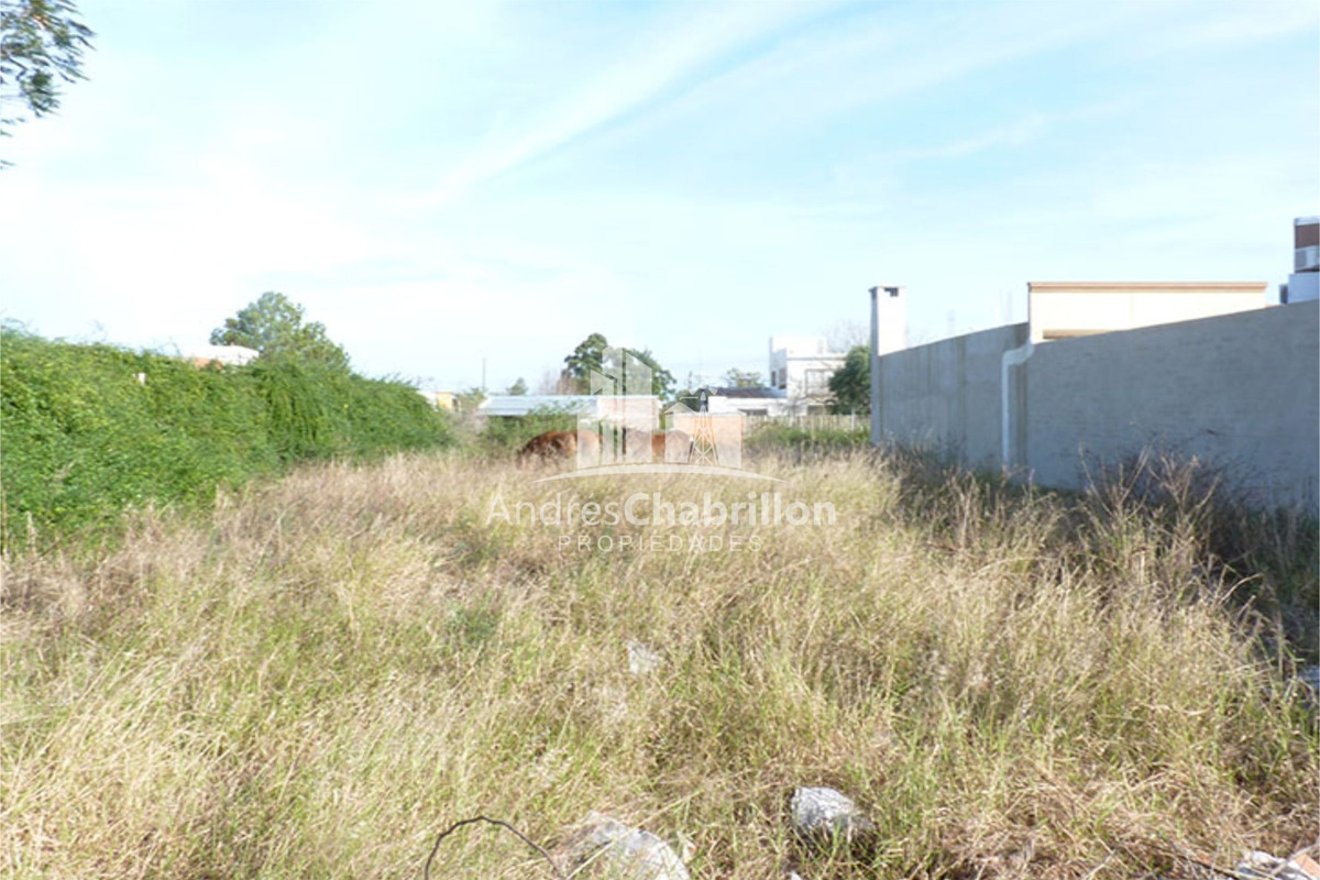 Excelente terreno sobre avenida principal, zona San Carlos - foto 4