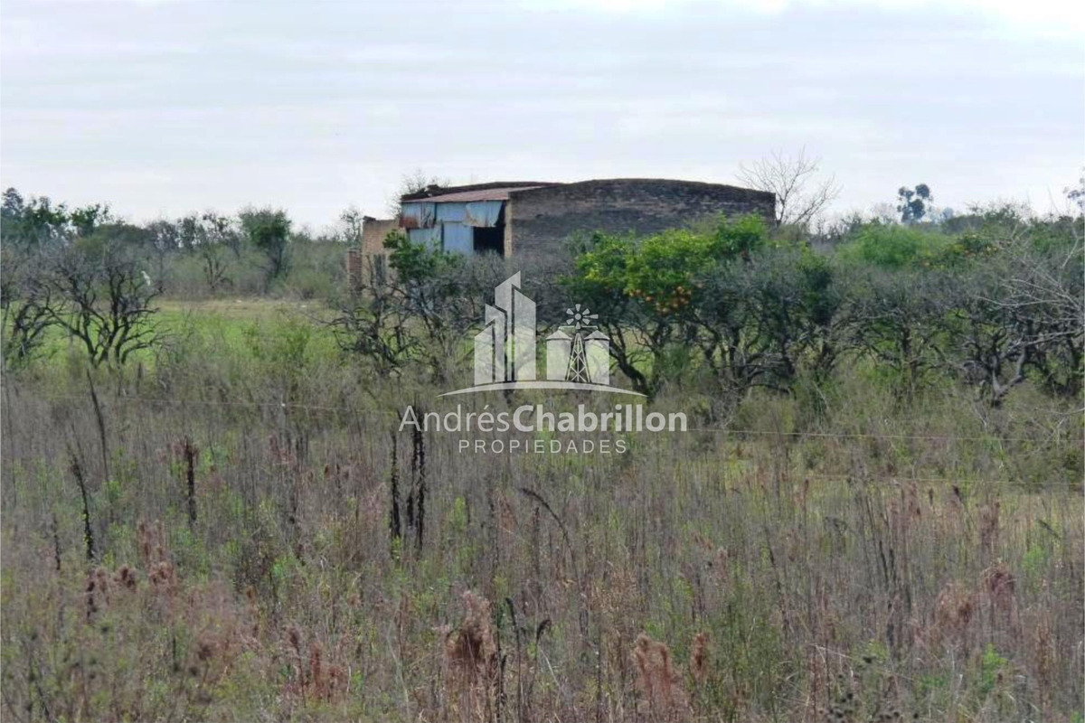 Campo Forestal En Venta - foto 2