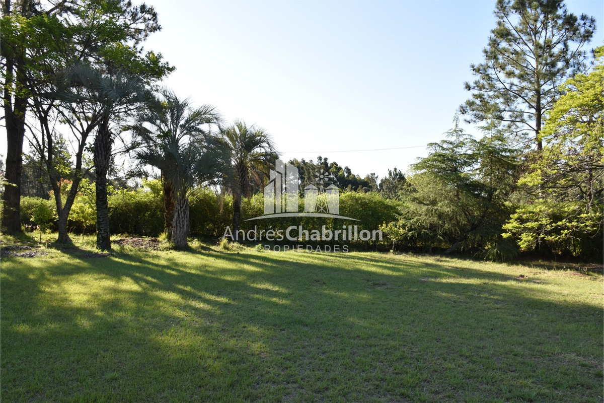 Terreno de 1500m2 en venta Villa Adela - foto 3