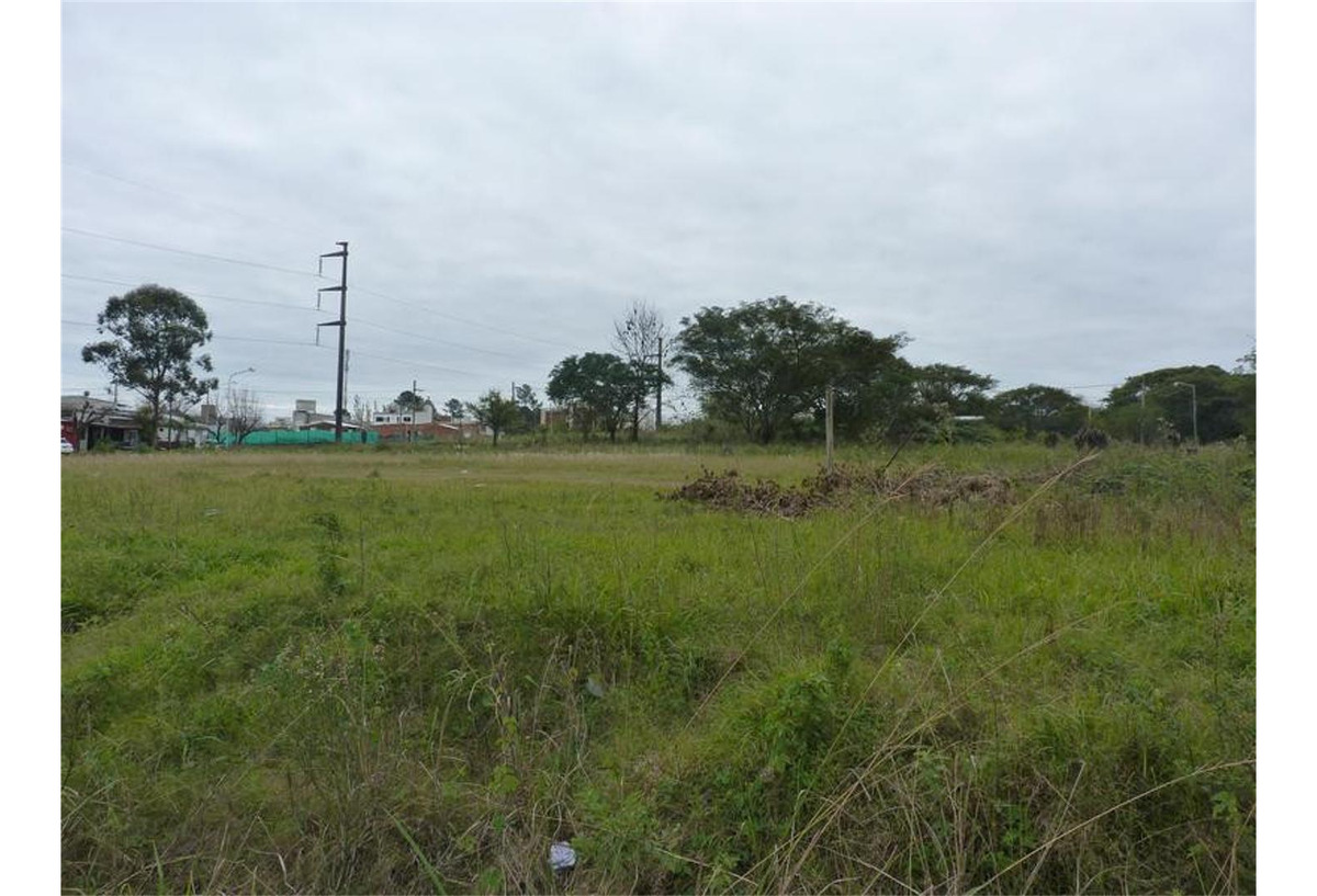 Terreno bien ubicado a metros de avenida asfaltada