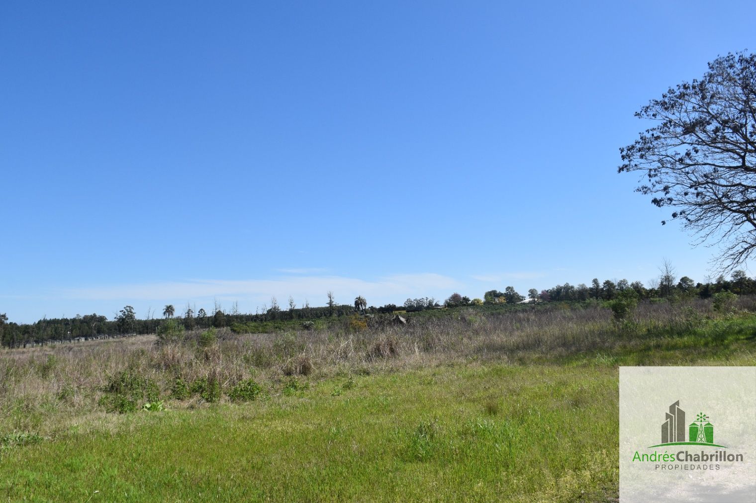 Terreno en venta de 6400m2 zona Aeroclub Concordia - foto 3