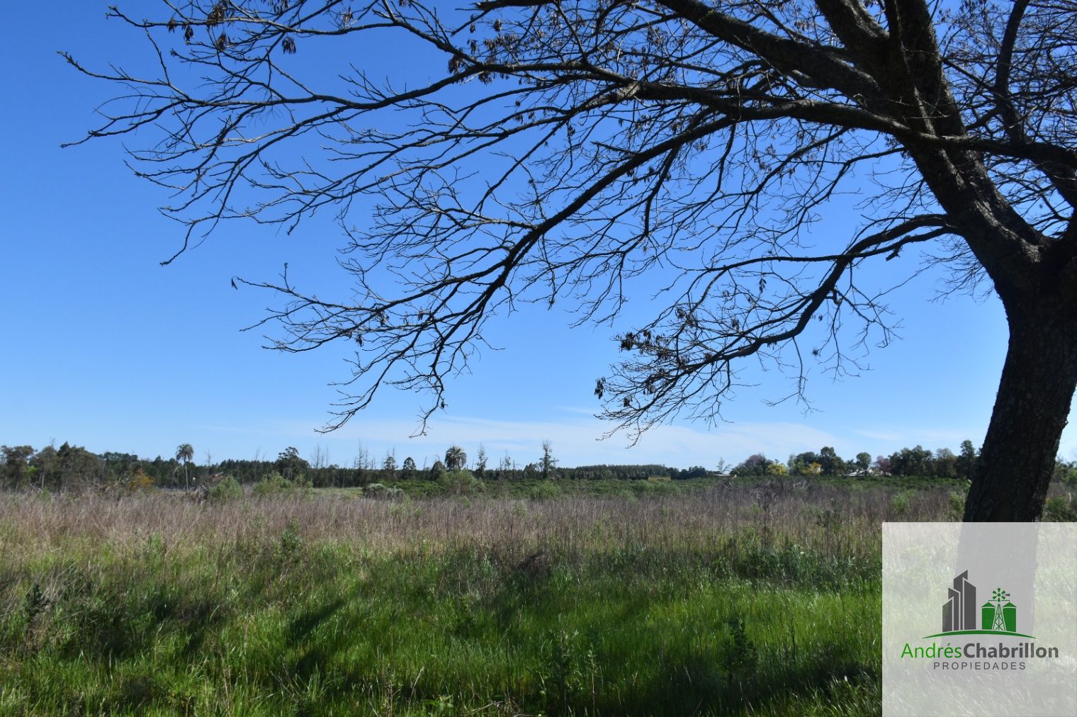 Terreno en venta de 6400m2 zona Aeroclub Concordia - foto 4