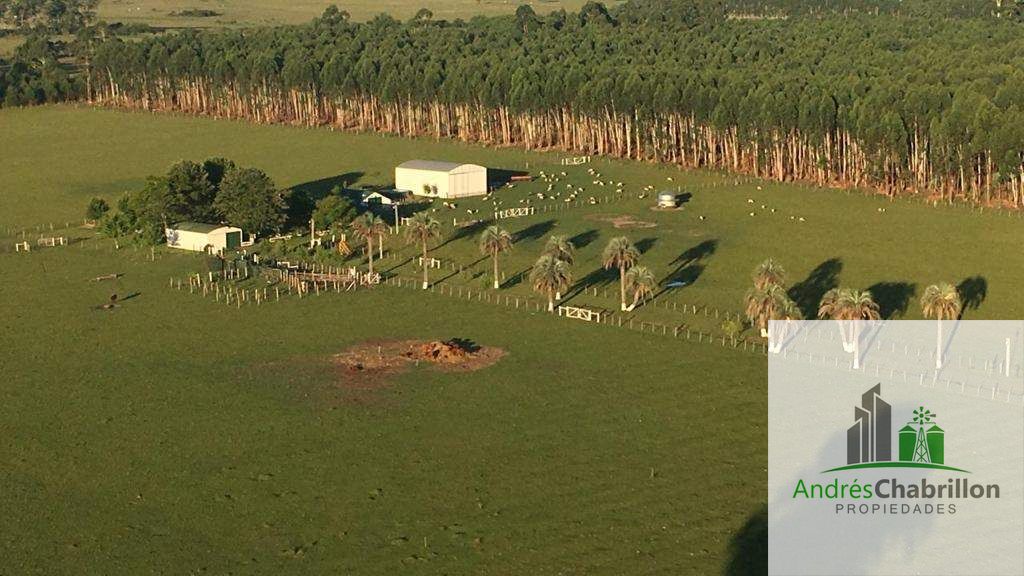 Campo en venta de 35ha ubicado en Estancia Grande
