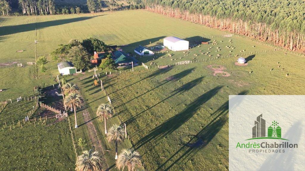 Campo en venta de 35ha ubicado en Estancia Grande - foto 2