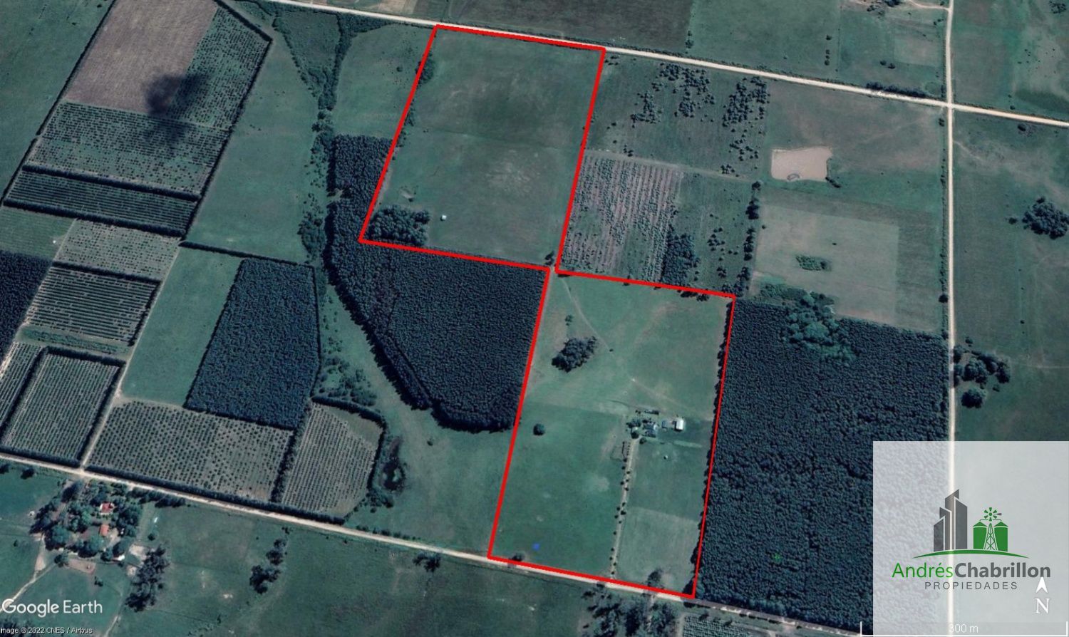 Campo en venta de 35ha ubicado en Estancia Grande - foto 3