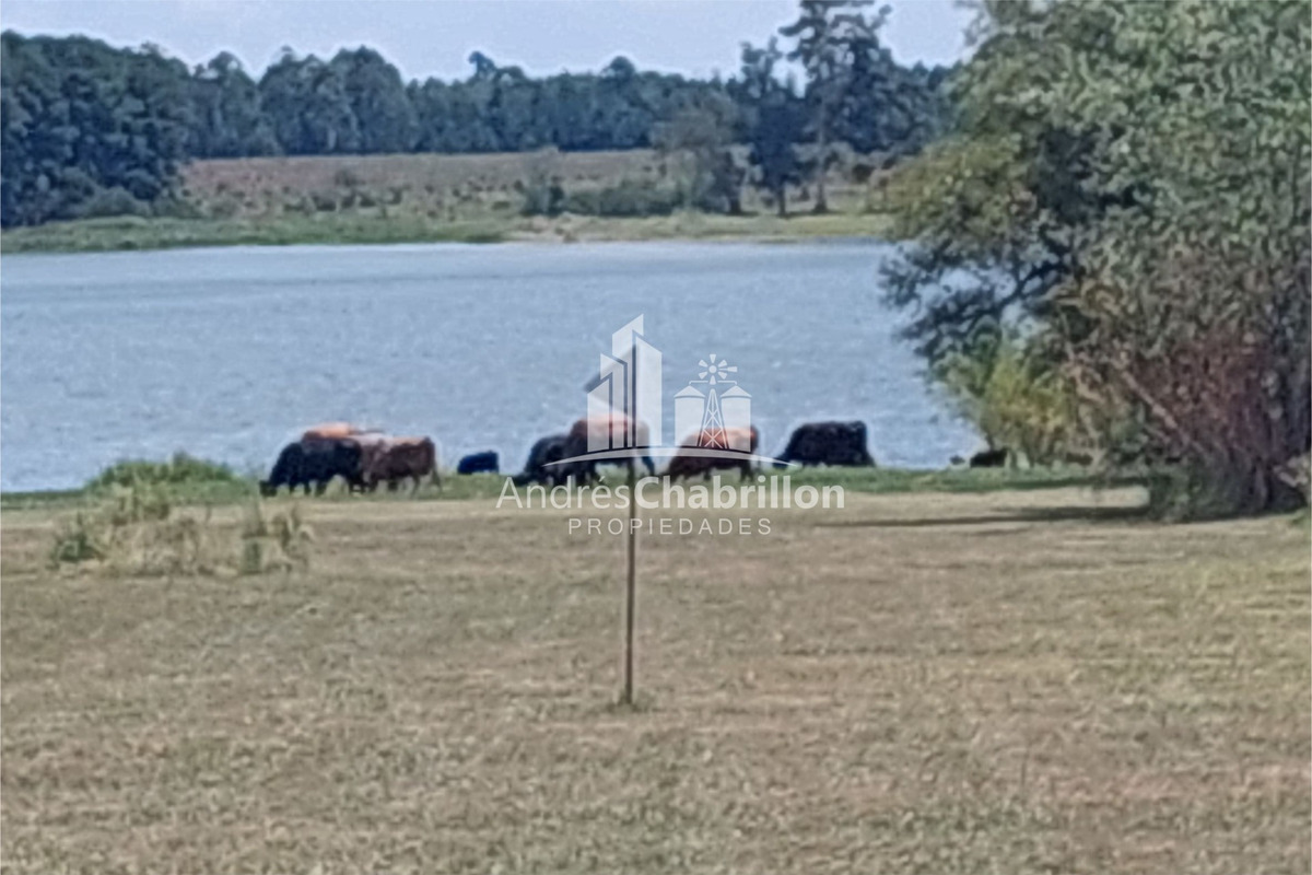 Lote Parquizado con Costa al Lago – Colonia Ayuí, Concordia (Entre Ríos) - foto 3