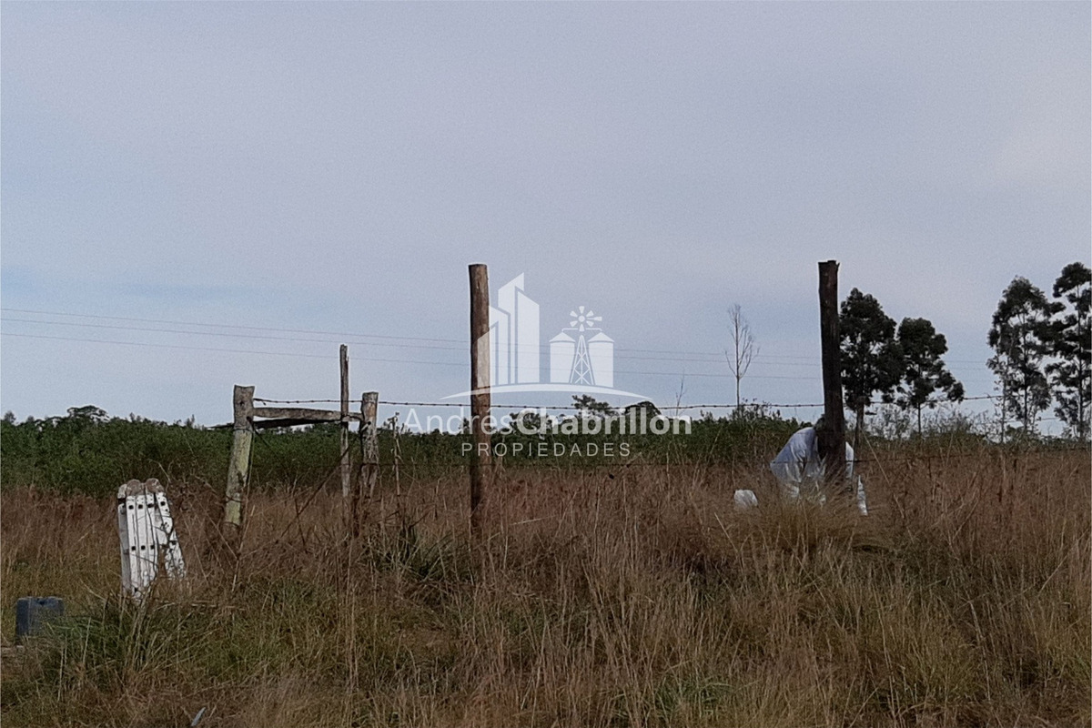Terreno de 30.000 m² subdivisible – Colonia Ayuí, Concordia (Entre Ríos)