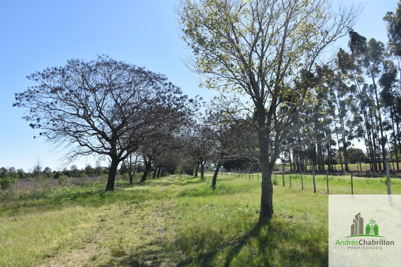 Terreno en venta de 6400m2 zona Aeroclub Concordia - foto 4