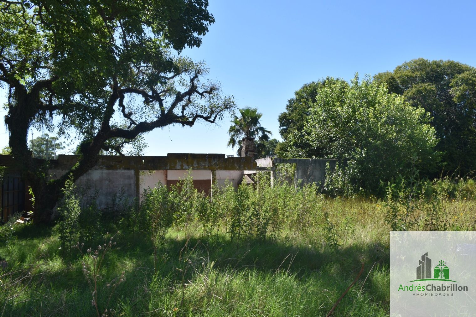 Oportunidad de inversión: terreno en zona de expansión - foto 4