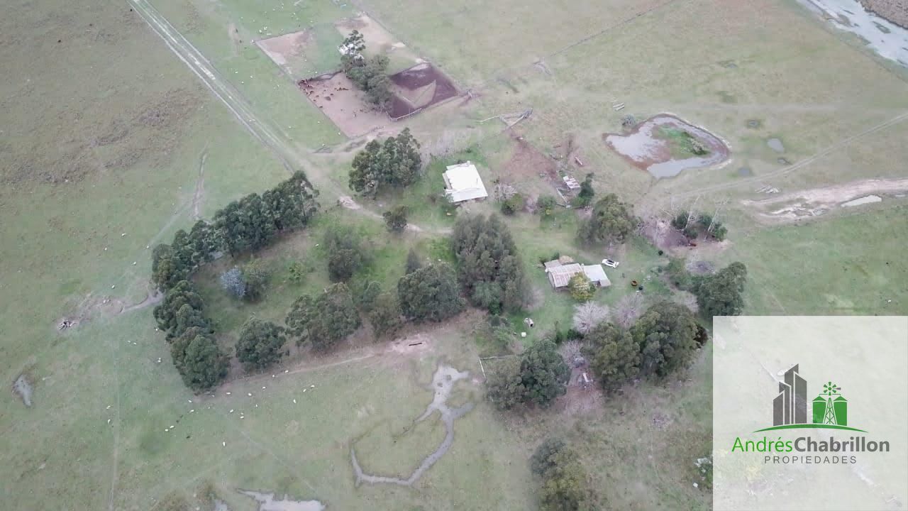 Campo mixto en venta – 2.950 ha – Paso de los Libres, Corrientes