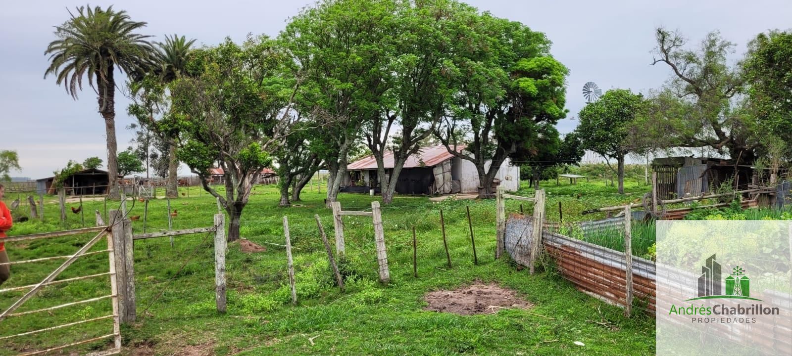 Campo mixto en venta – 2.950 ha – Paso de los Libres, Corrientes - foto 2
