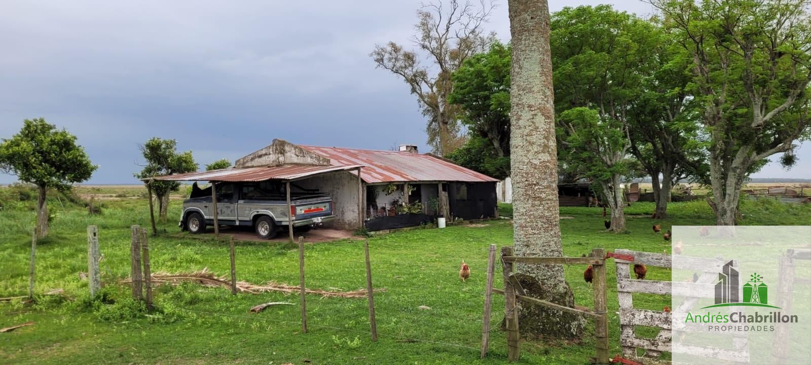 Campo mixto en venta – 2.950 ha – Paso de los Libres, Corrientes - foto 3