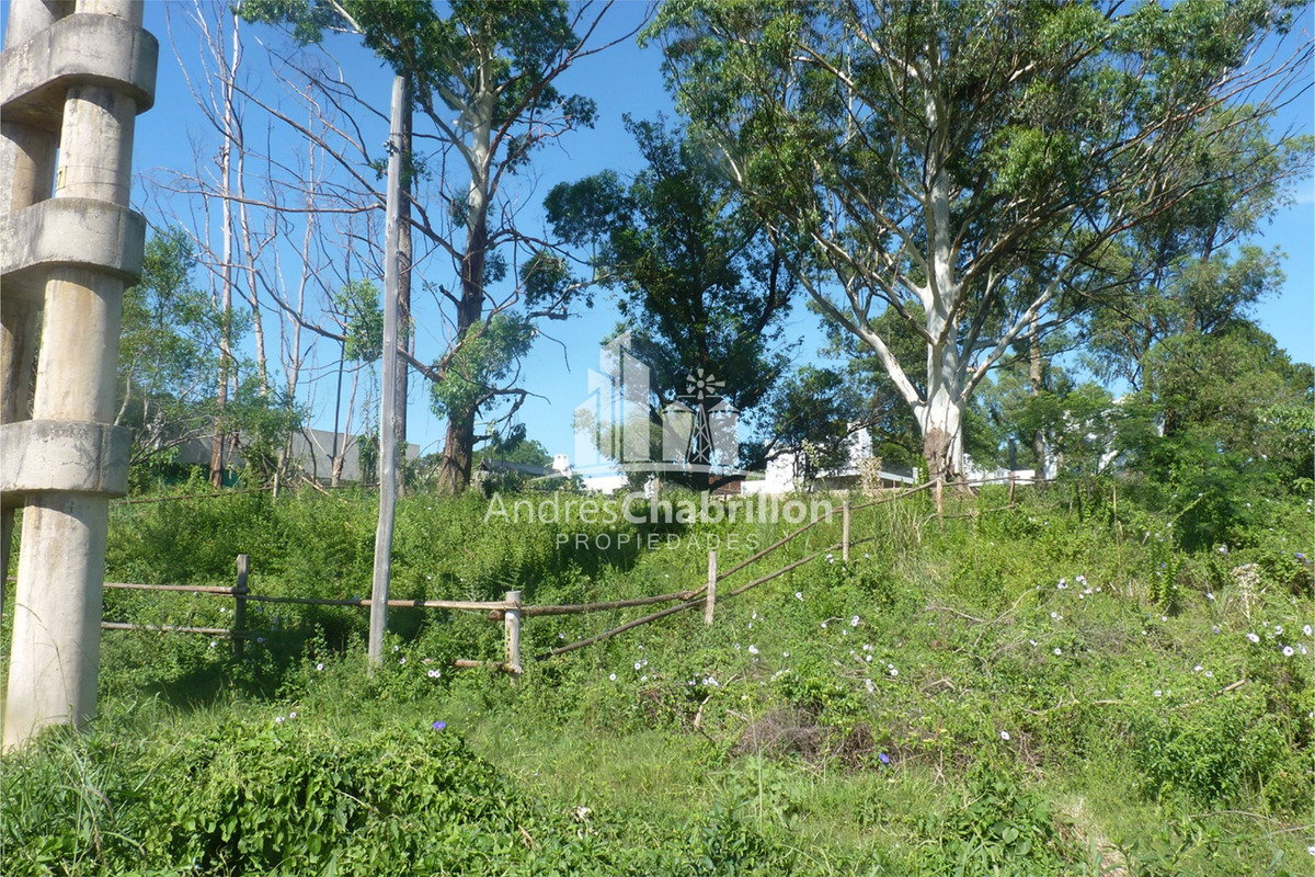 Lote Sobre Ruta 4, Zona Hipódromo Concordia - foto 5