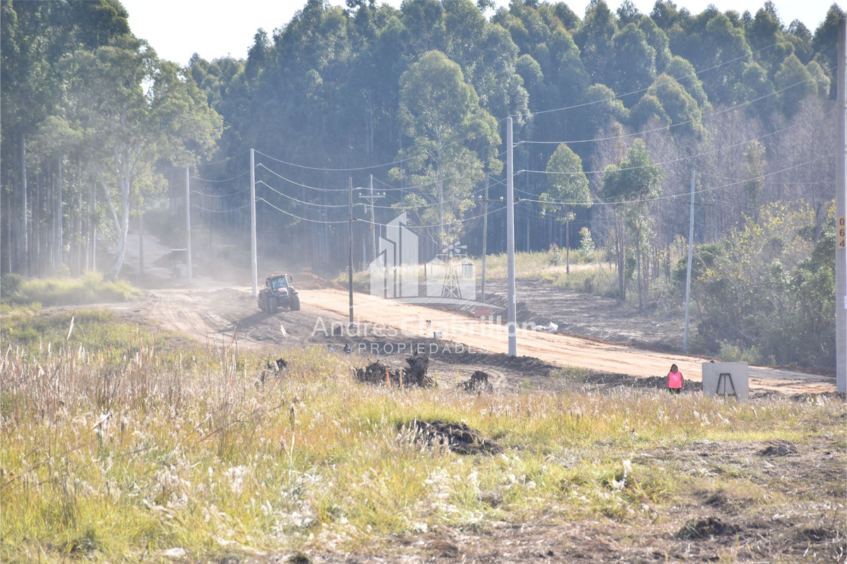 Fracción de tierra con posibilidad de subdivisión – Excelente ubicación - foto 4
