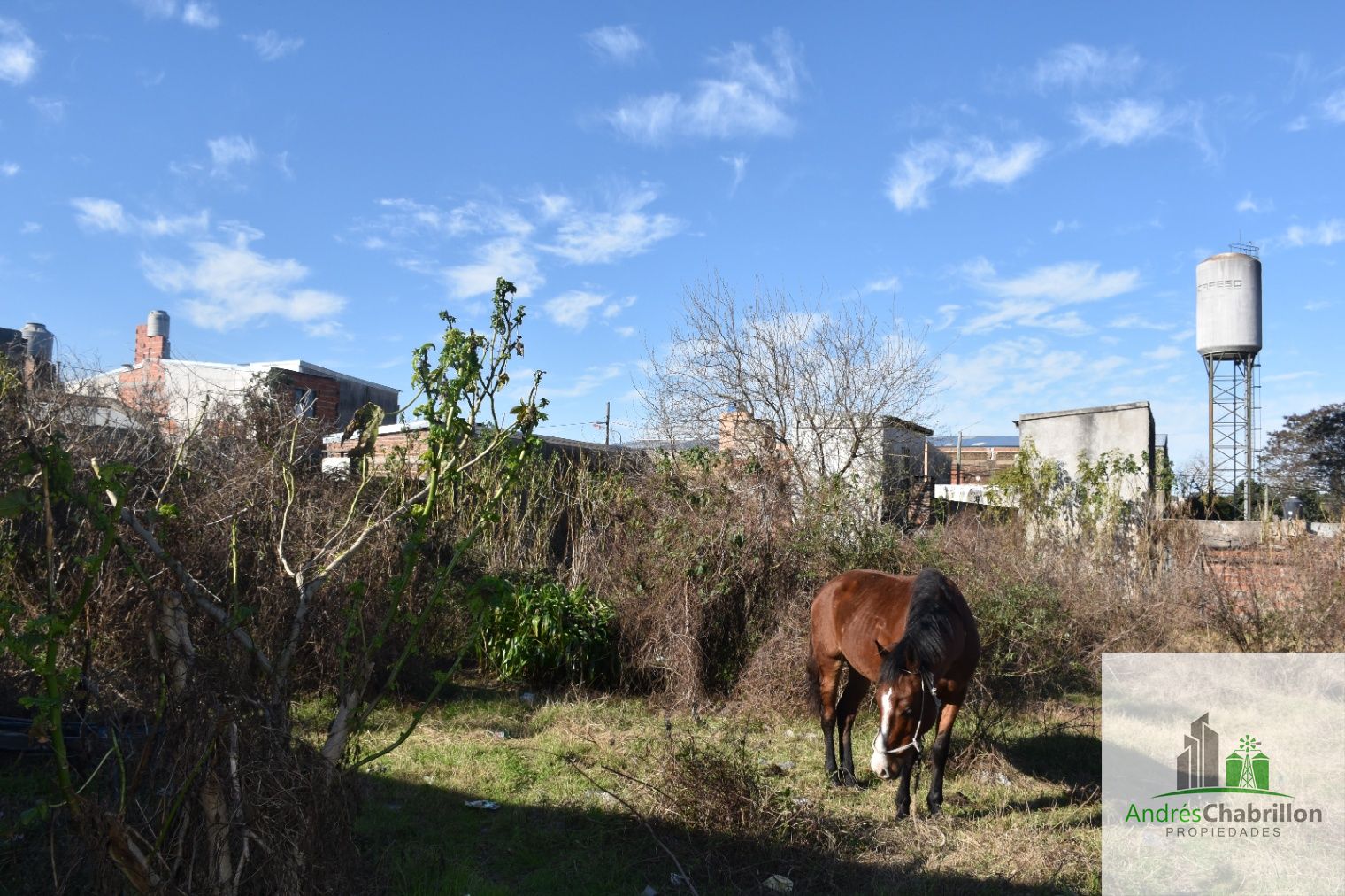 Terreno / Lote en venta de 1152m2 ubicado en Concordia - foto 4
