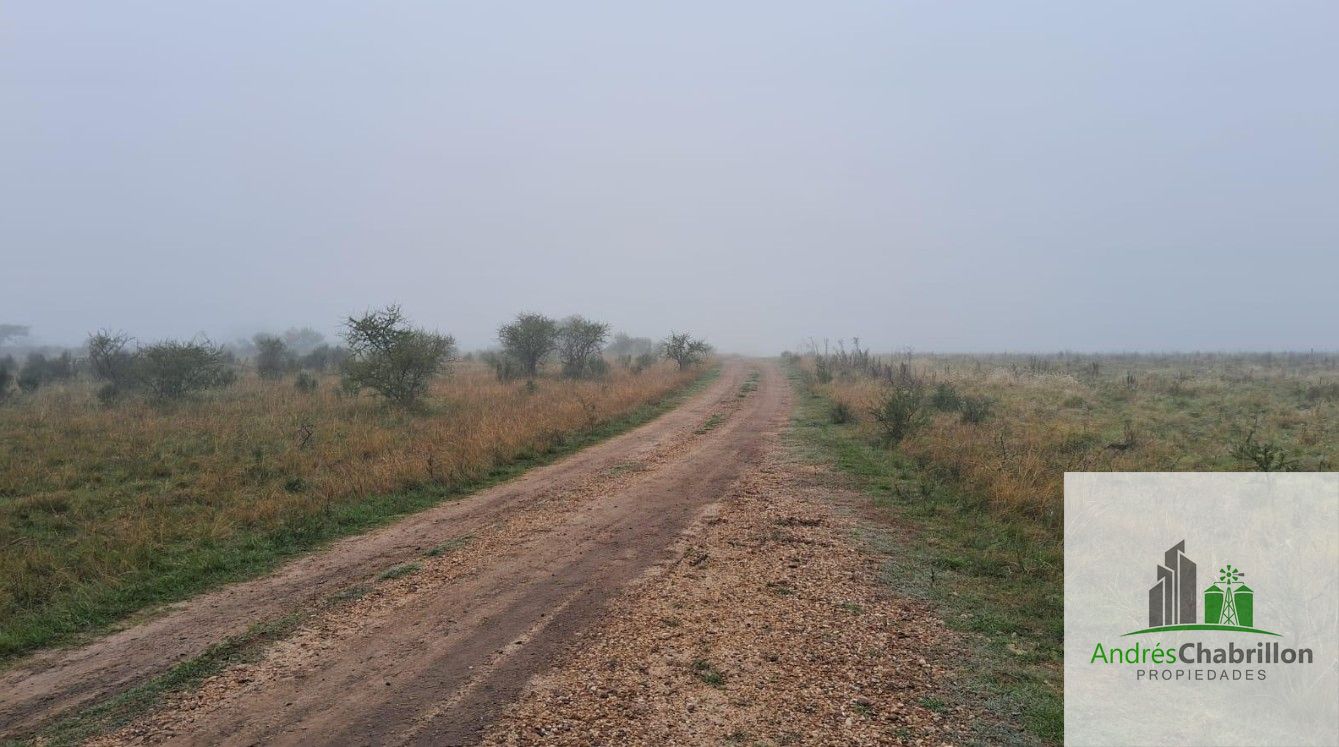 Campo en venta de 90ha ubicado en Estación Yeruá