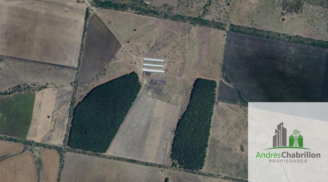 Campo en venta de 90ha ubicado en Estación Yeruá - foto 2