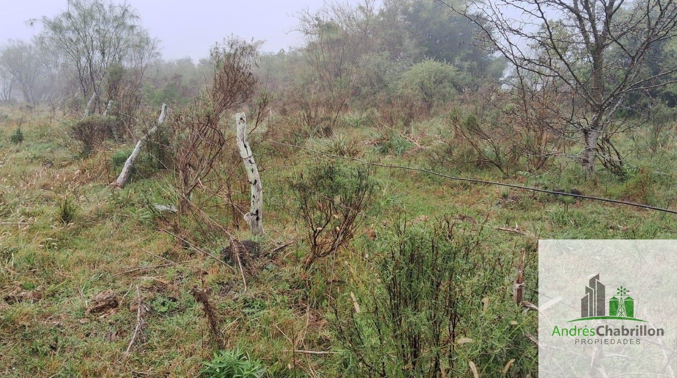 Campo en venta de 90ha ubicado en Estación Yeruá - foto 3