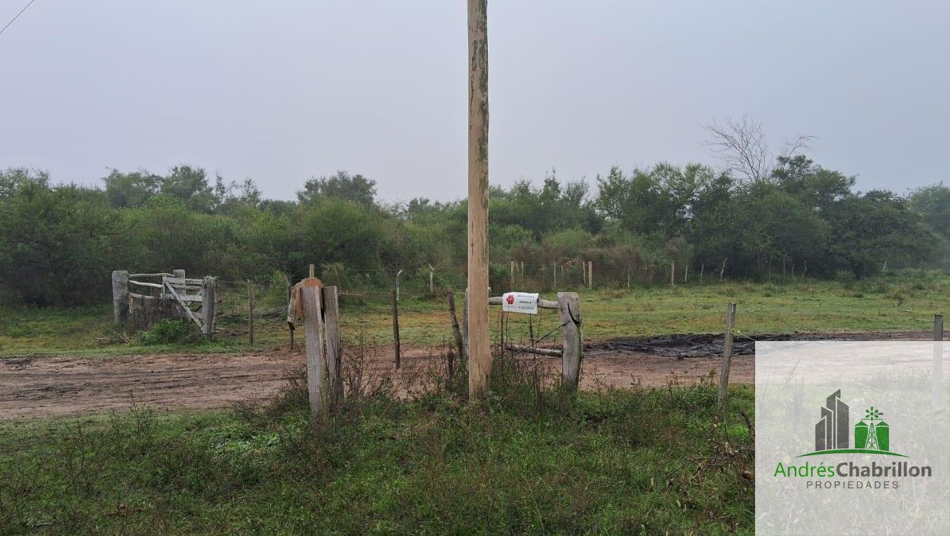 Campo en venta de 90ha ubicado en Estación Yeruá - foto 4
