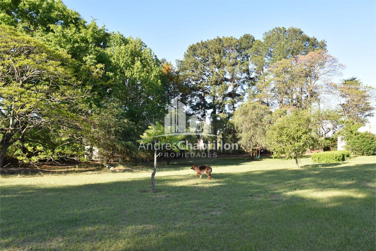 Terreno En Villa Adela - foto 4