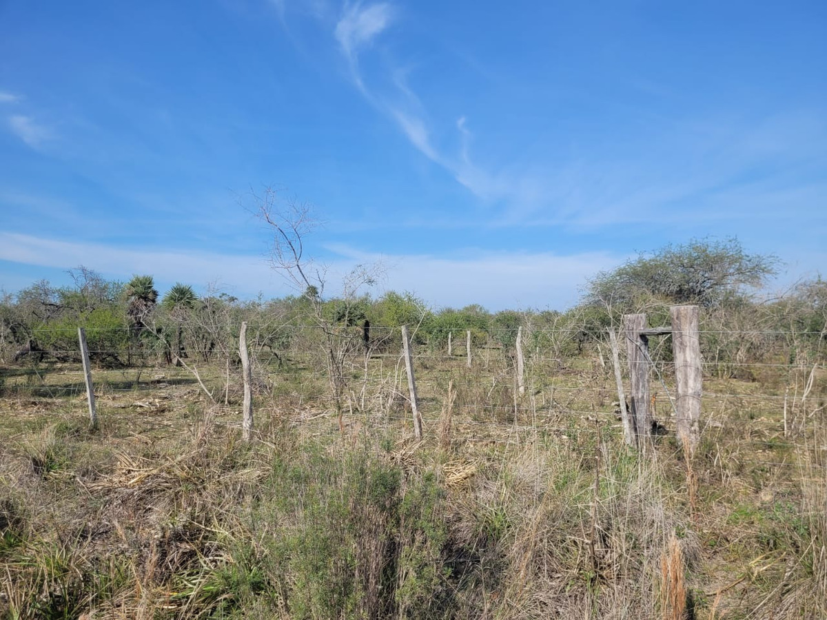Campo Ganadero En Federal De 156 Has - foto 3