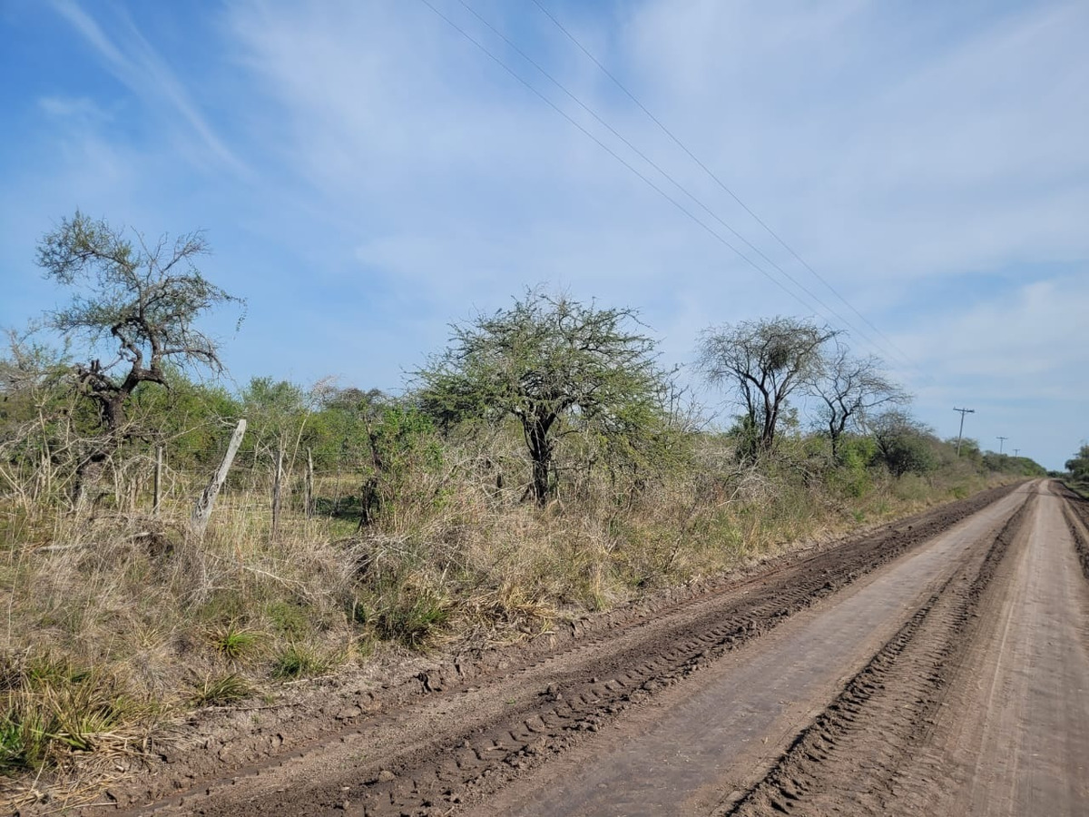 Campo Ganadero En Federal De 156 Has - foto 4